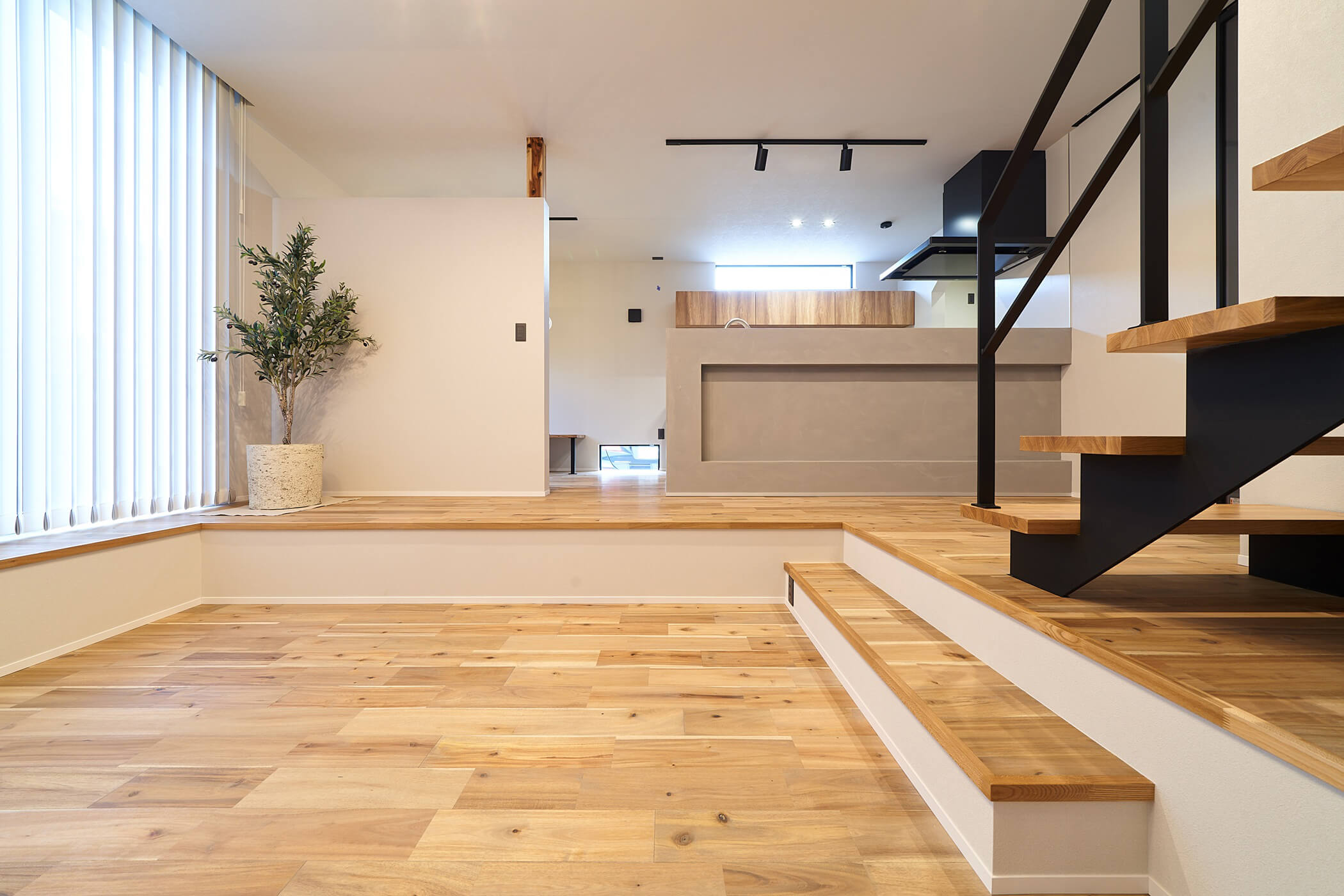 Luma Steps